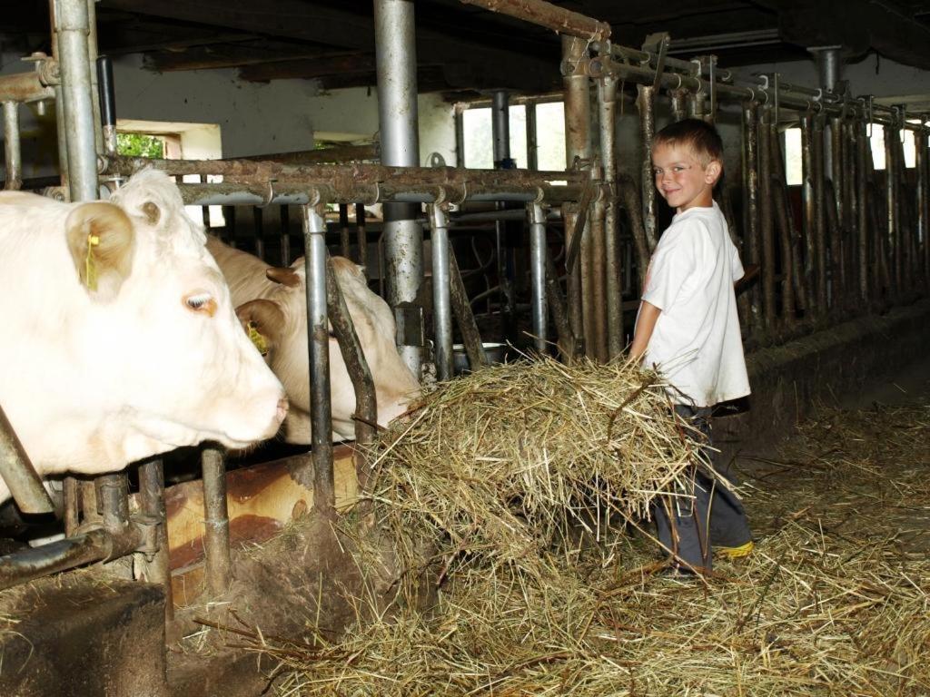 Ferienwohnung Am Oberrainerhof Arriach Dış mekan fotoğraf