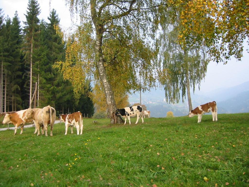 Ferienwohnung Am Oberrainerhof Arriach Dış mekan fotoğraf